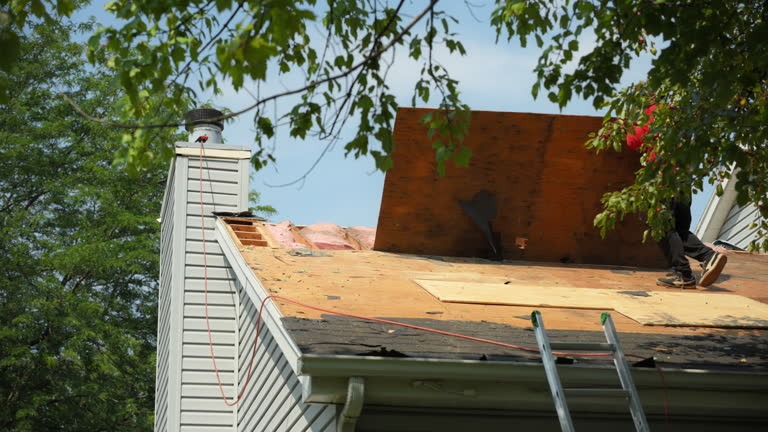 Roofing Contractor Near Me Offering Reliable Roof Installation and Repair