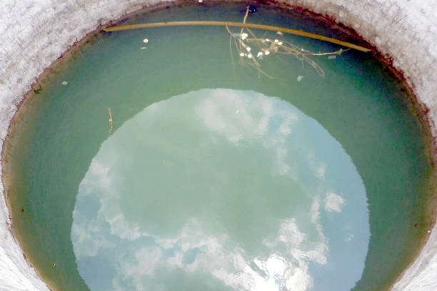 Exploring CBD’s Role in Health and Wellness in 2025