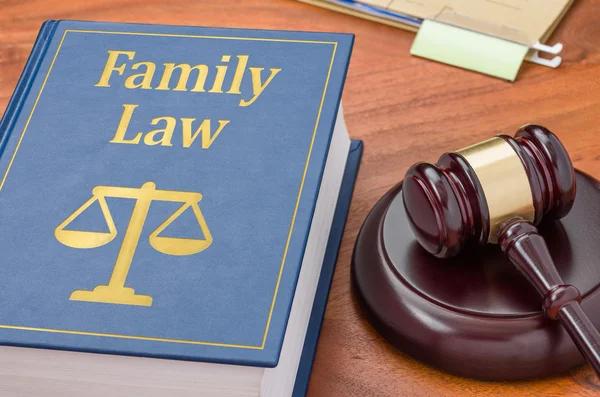 Guardianship and Custody: Legal Support from Family Law Professionals